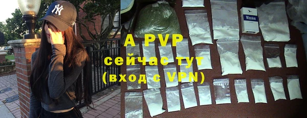mix Богородицк