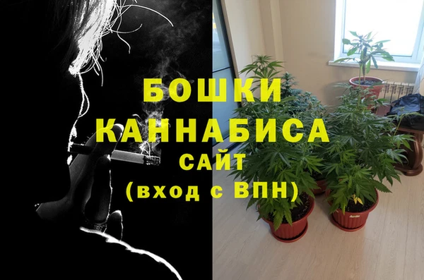 дурь Балахна
